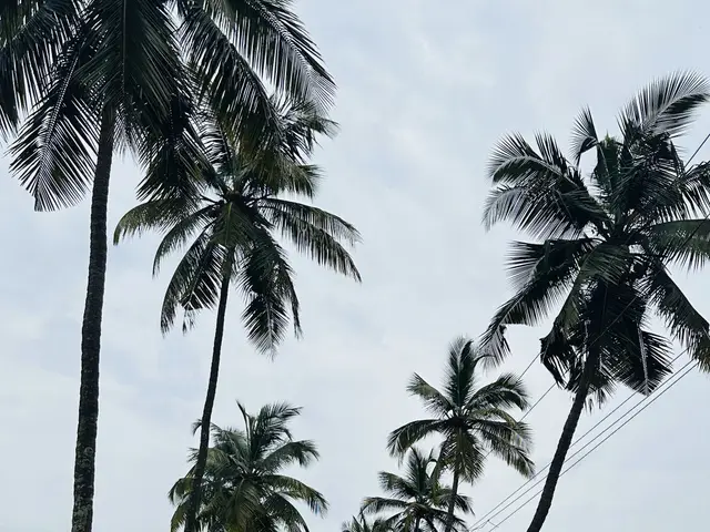 Weblancer Technologies team trip to Goa, photo 4